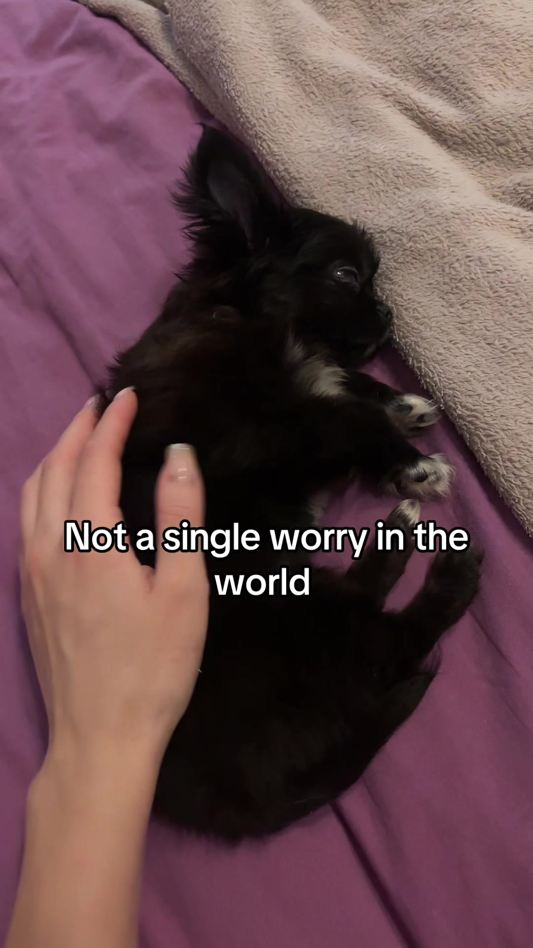 @sophia