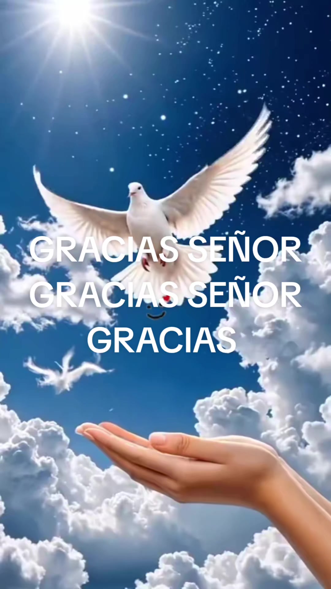 @Iliana Guerrier