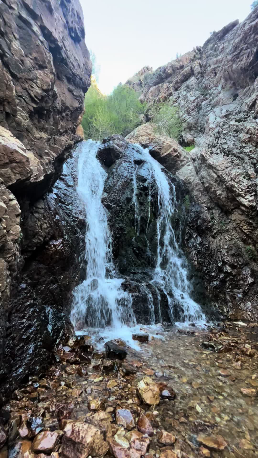 @Wild Fowler 🏔️🥾⛰️