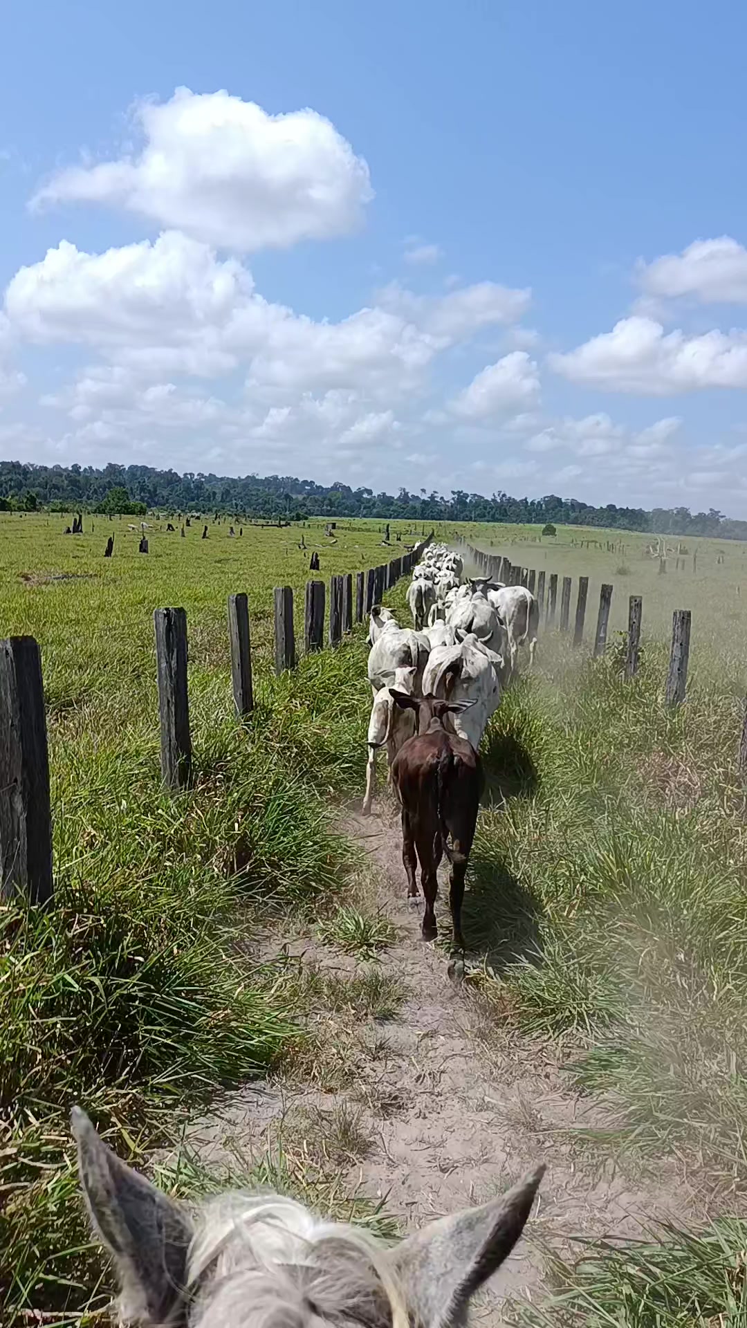 @Izaias Santos