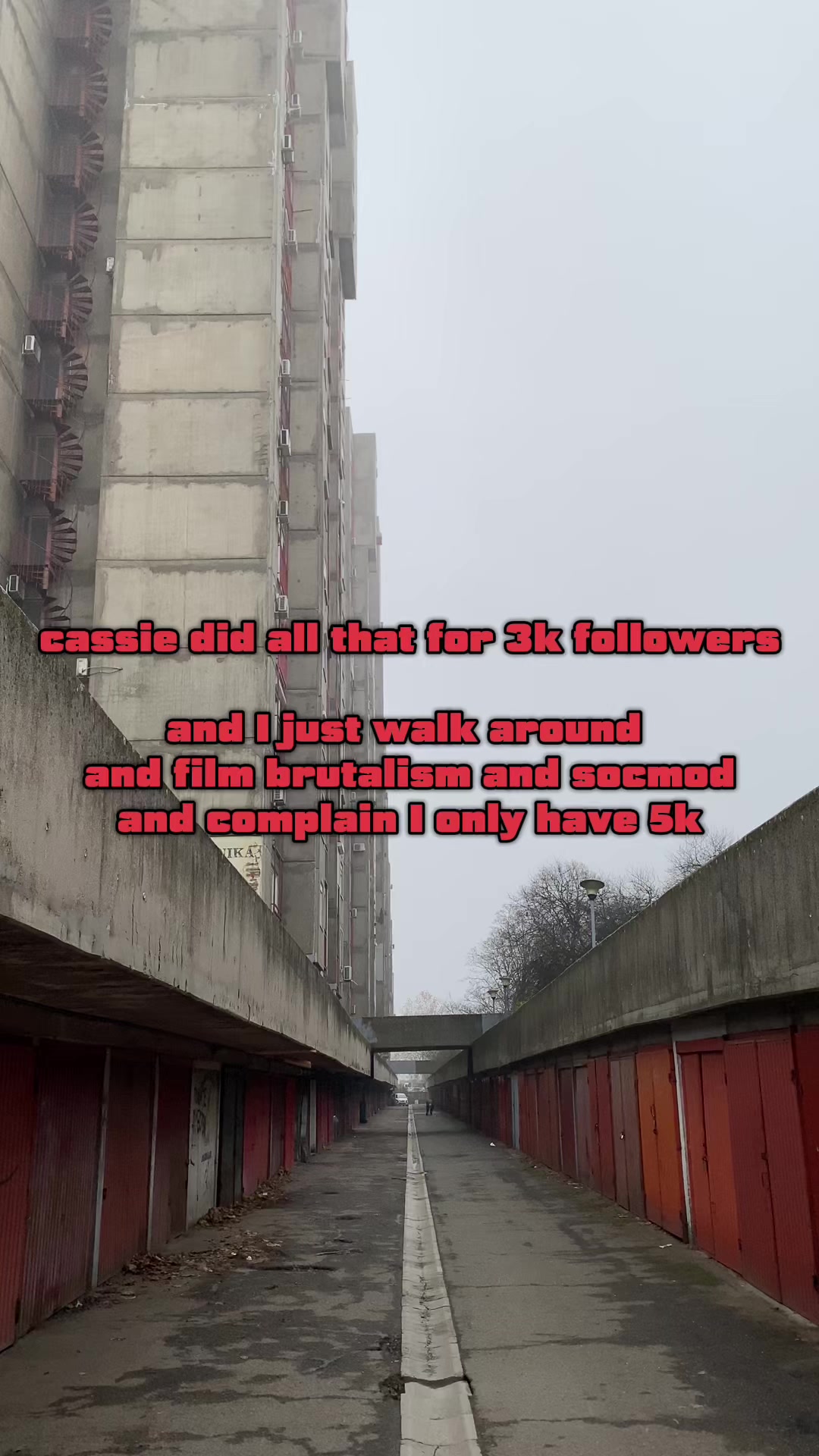 @sad_pigs
