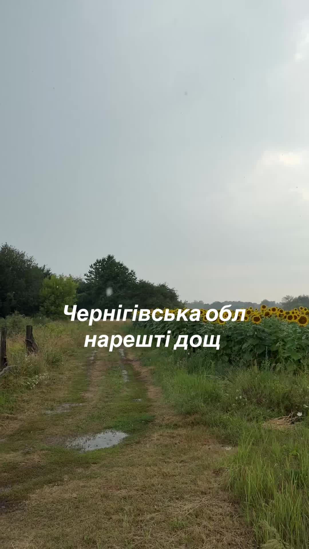 @Sasha🇺🇦John Deere🇺🇦🚜🌾🌽