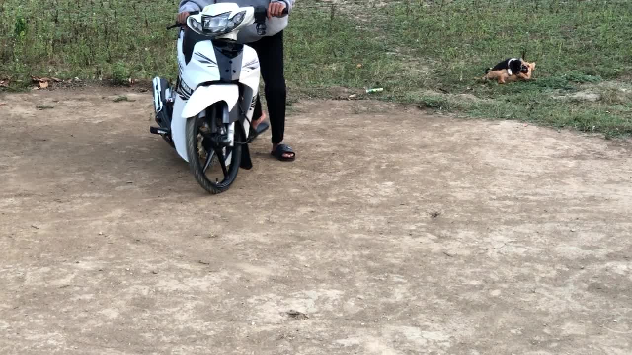 @Báo tour ✅✅