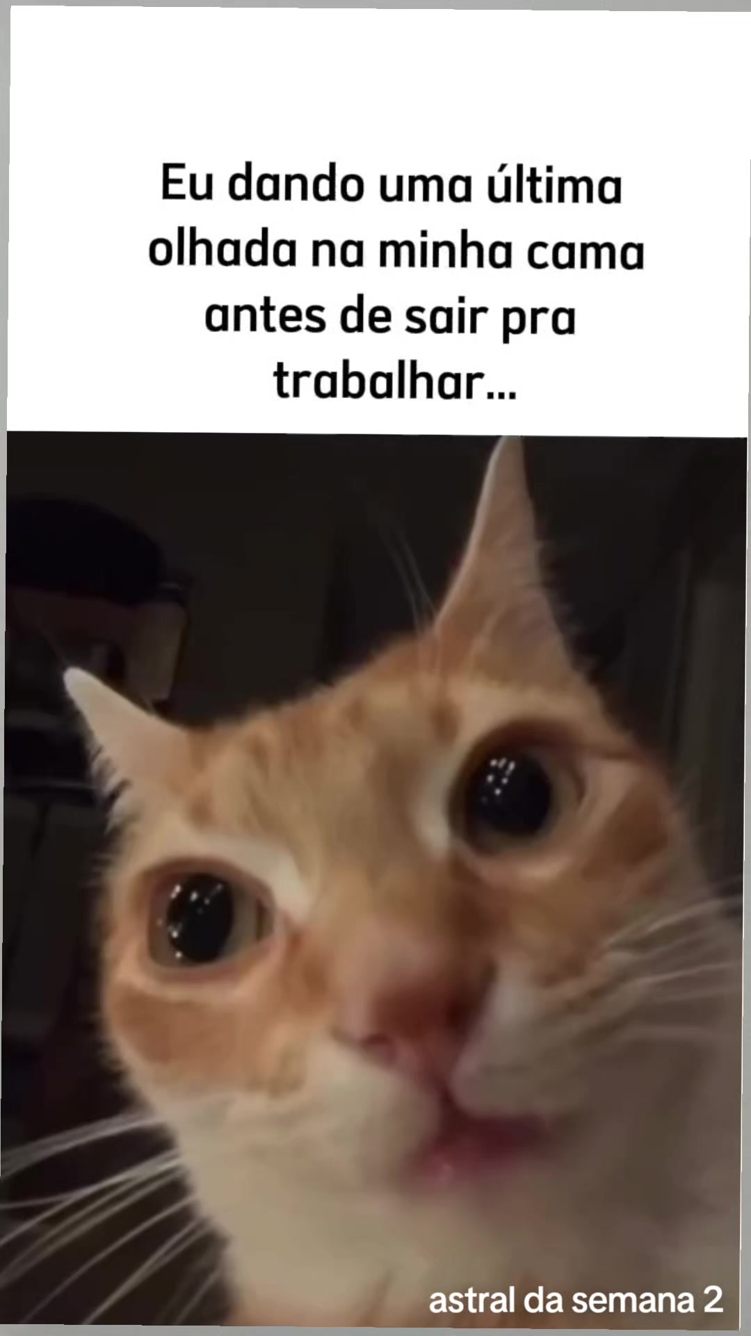 @Astral da semana 2
