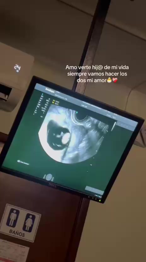 @paularodriguez1841
