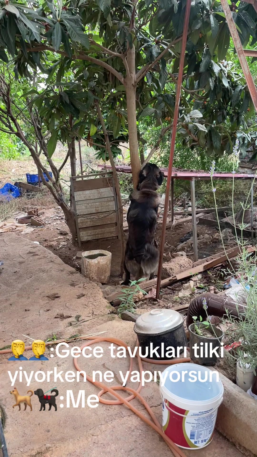 @Mert Ulusoy