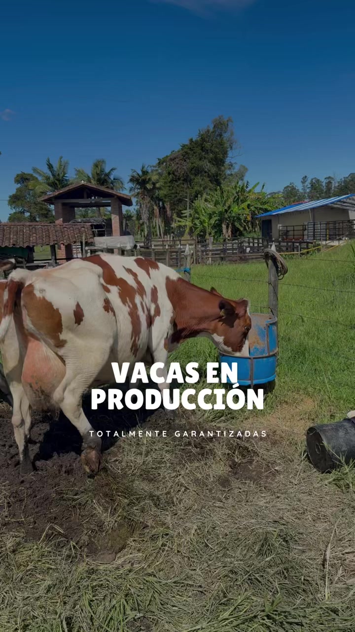 @Rehagronegocios