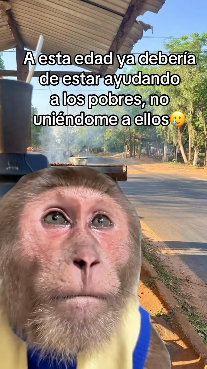 @Alicia Escurra✔️
