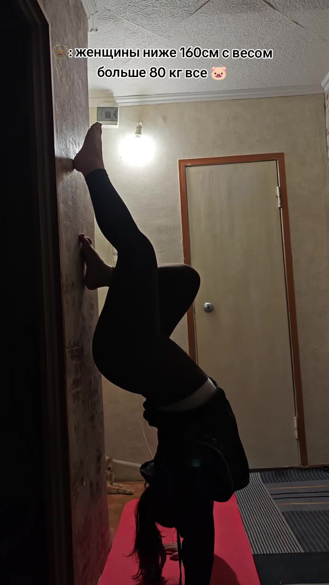 @krabiknata9805