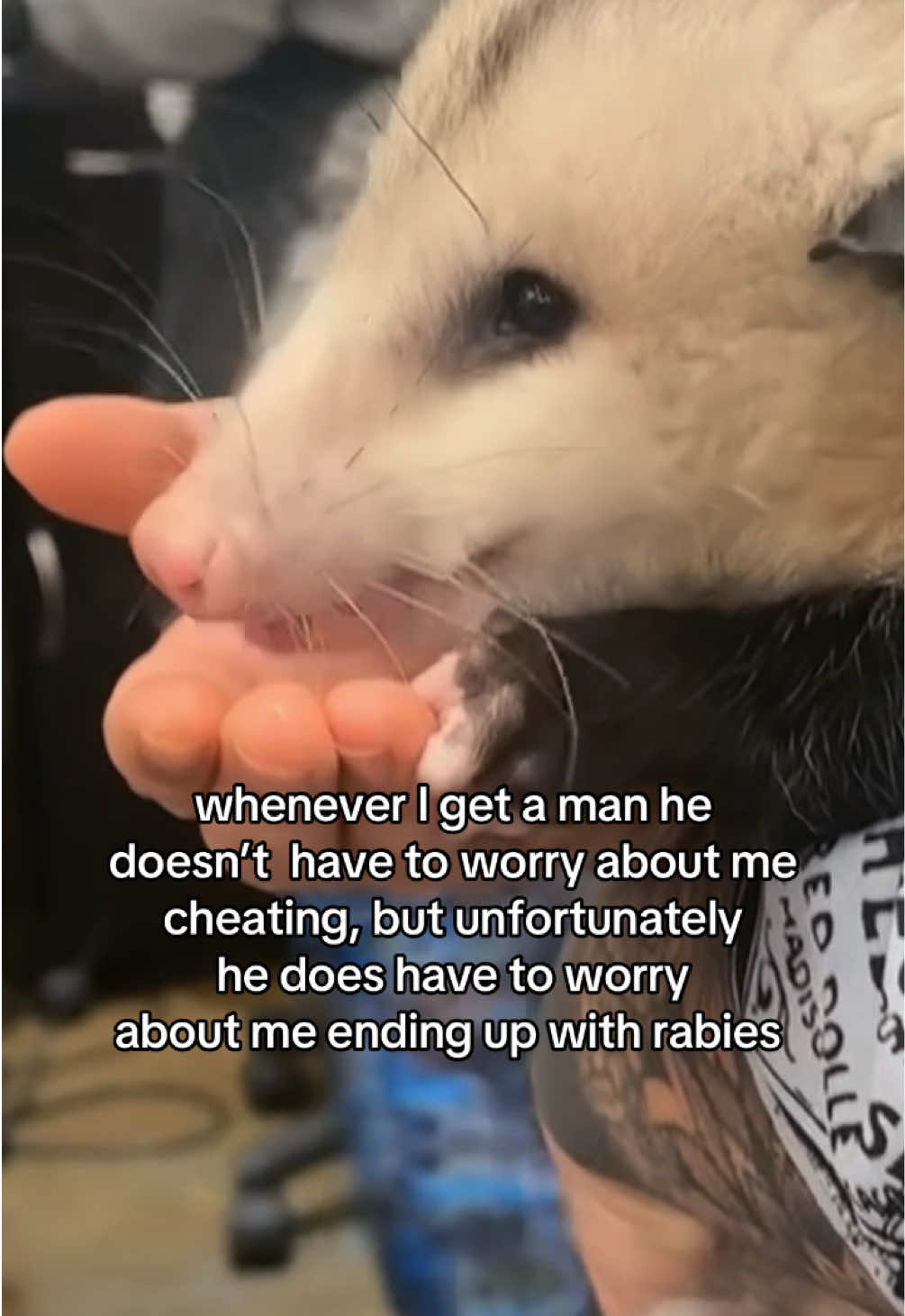 @sirenbree