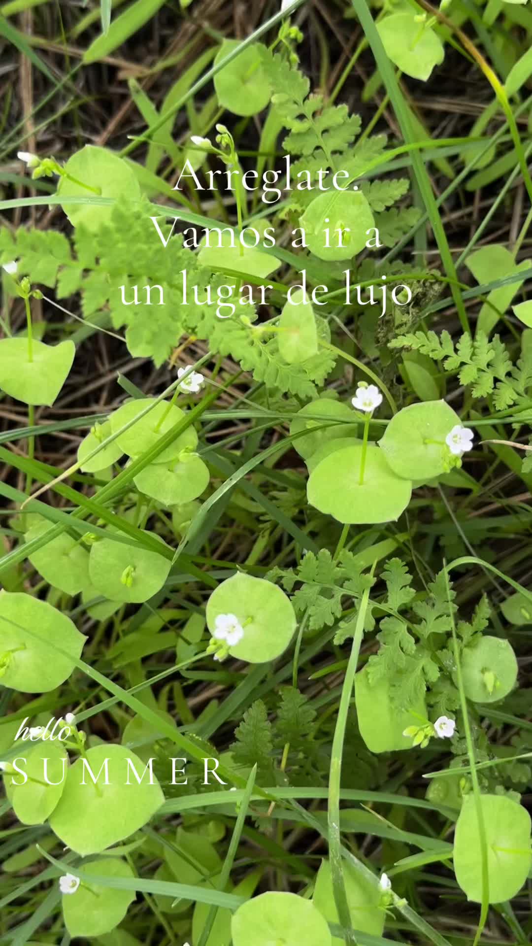 @Linda