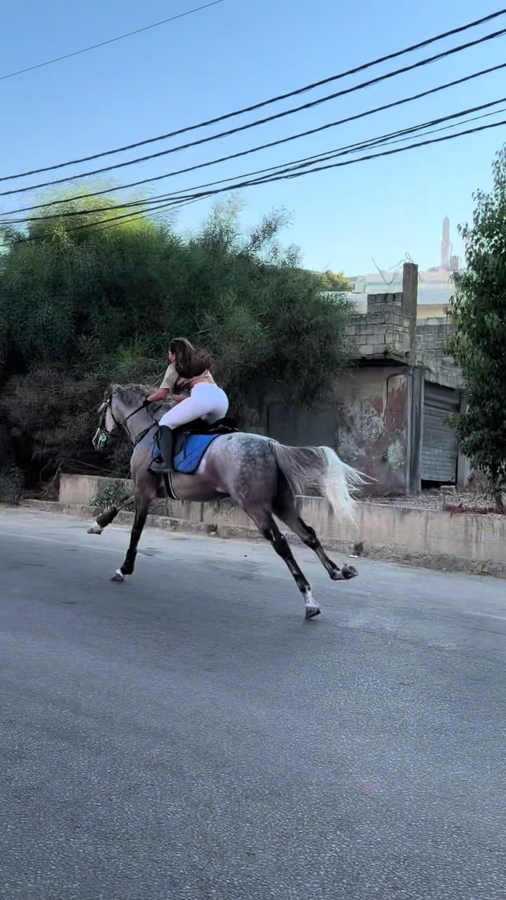 @لــيــن🐎