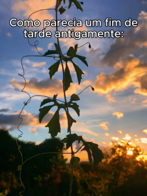 @Alves Samuka