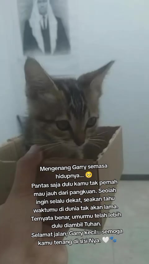 @Lina herlina