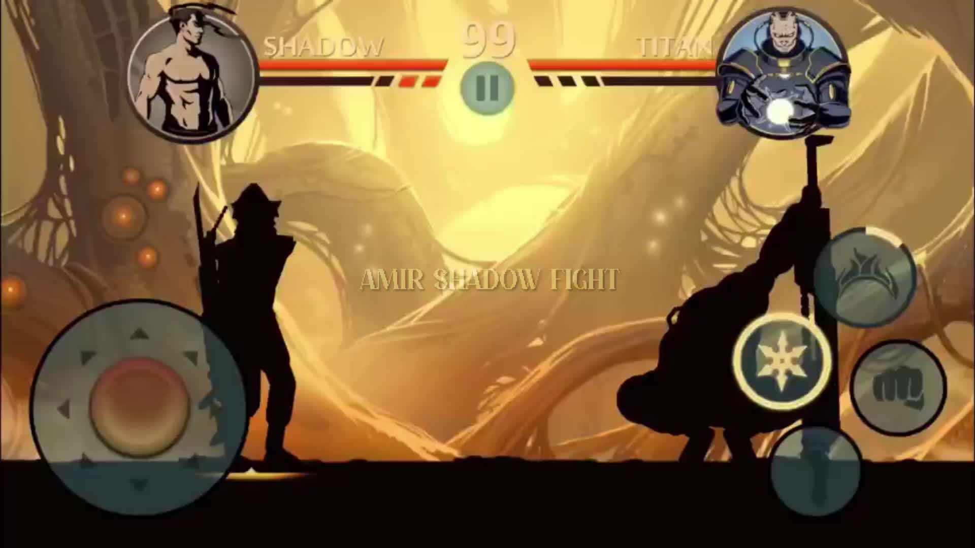 @Amir Shadow Fight