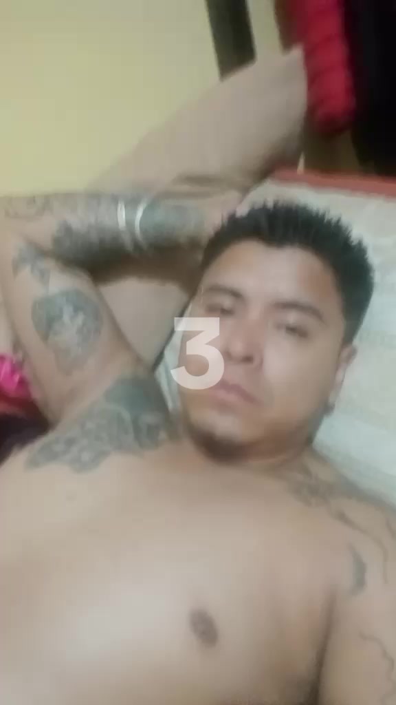 @cachorro