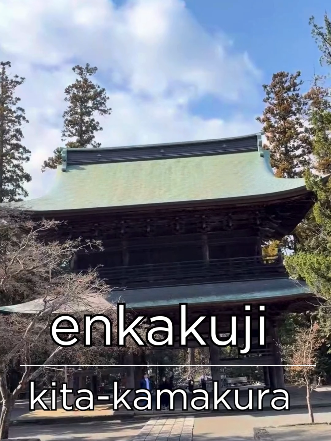 @PREIDICTOR Travel【japan trip】
