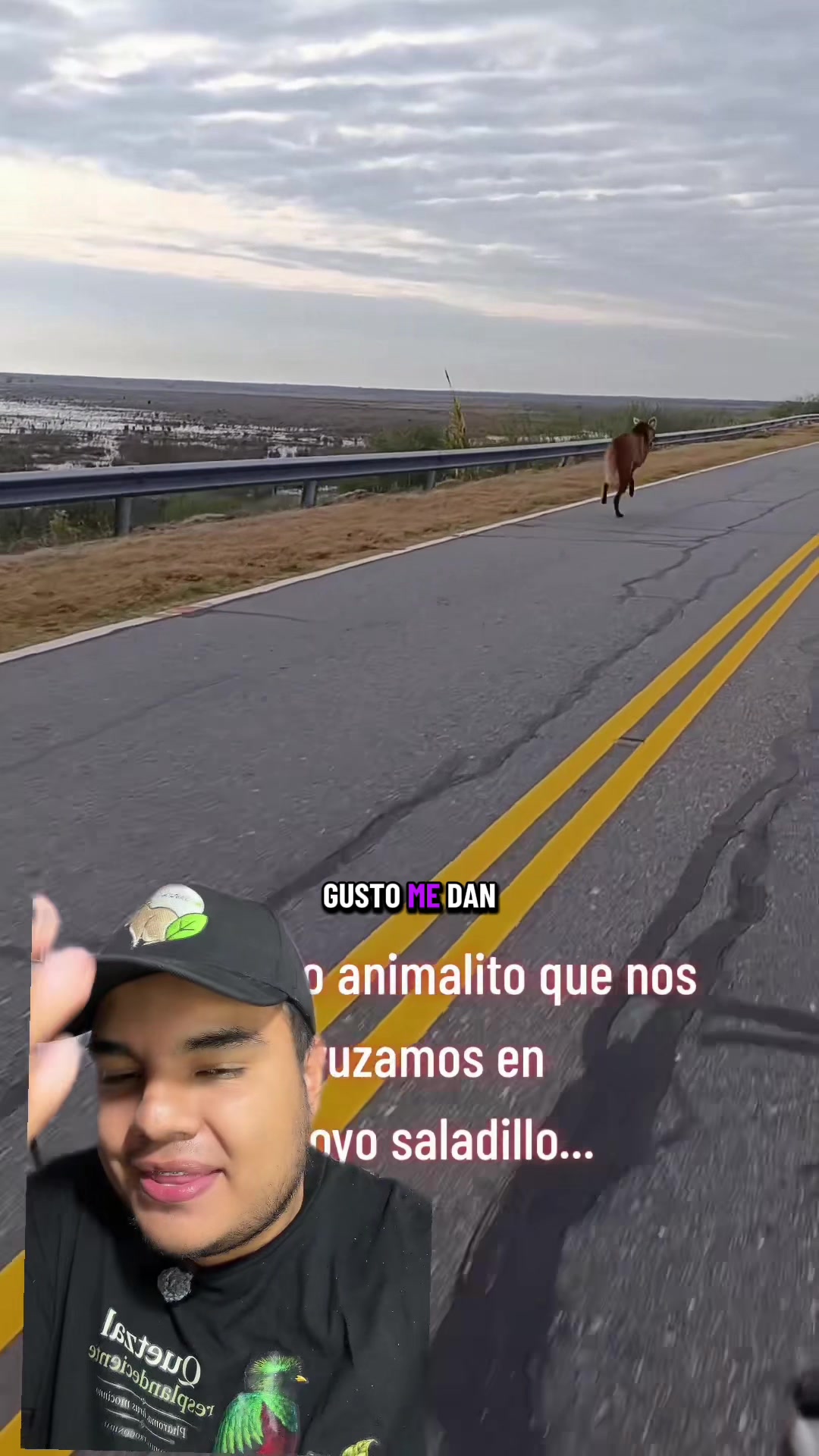 @Jair Herrera 🐆