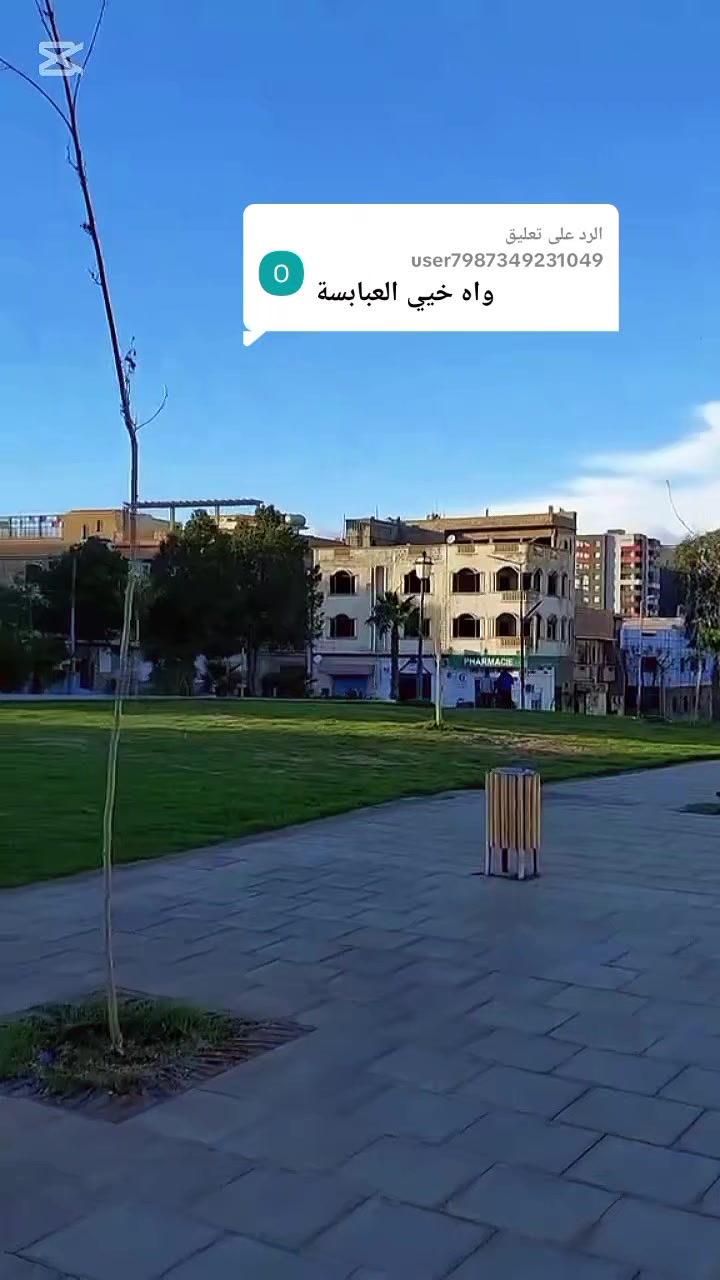 @محمد خراز 🇩🇿 ❤🤍💚