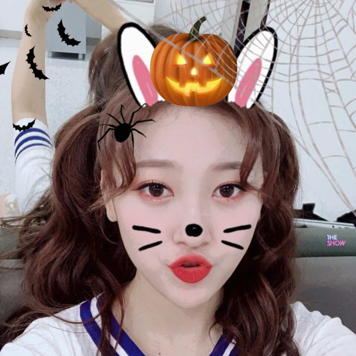 @Choerry with bunny filter