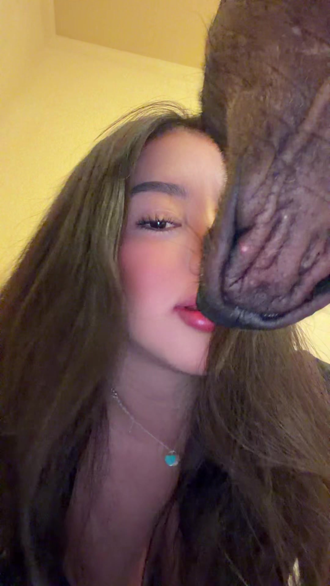 @Ximena Pinacho