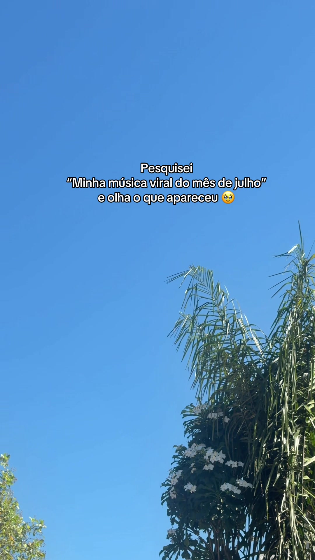 @Larissa Moura