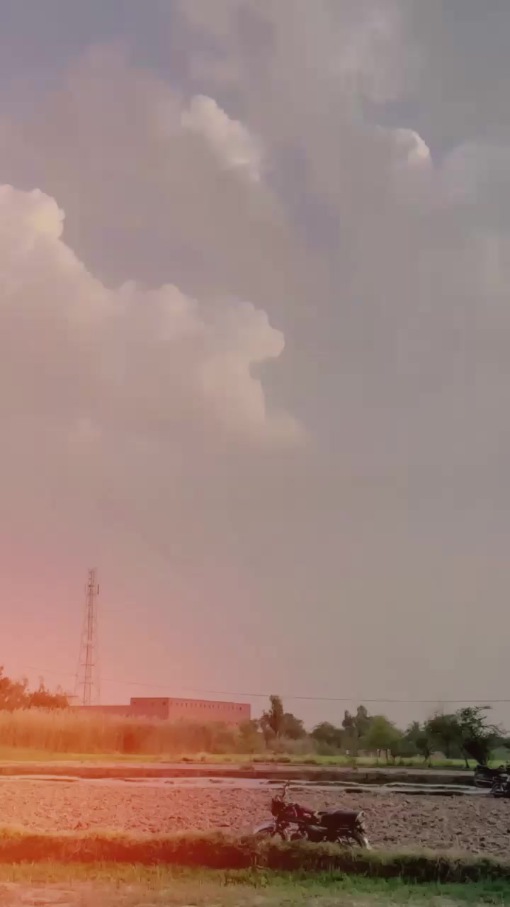 @چوہدری علی گجر 🚩