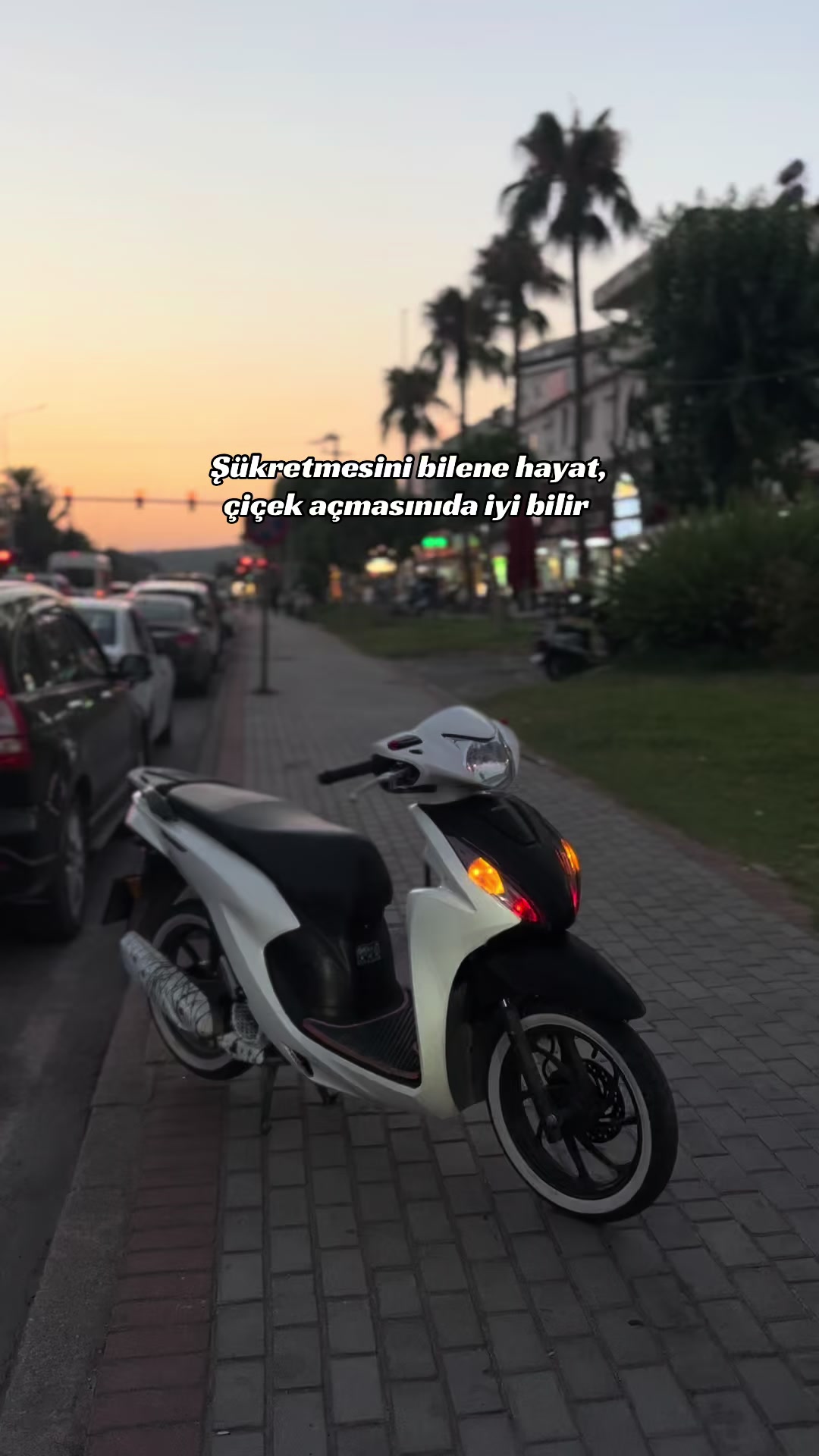 @𝐌/𝐄