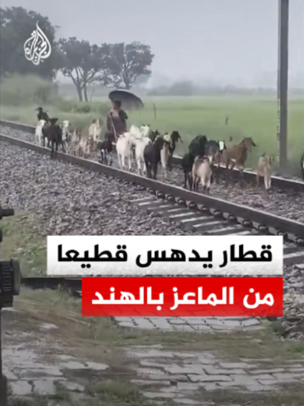@الجزيرة