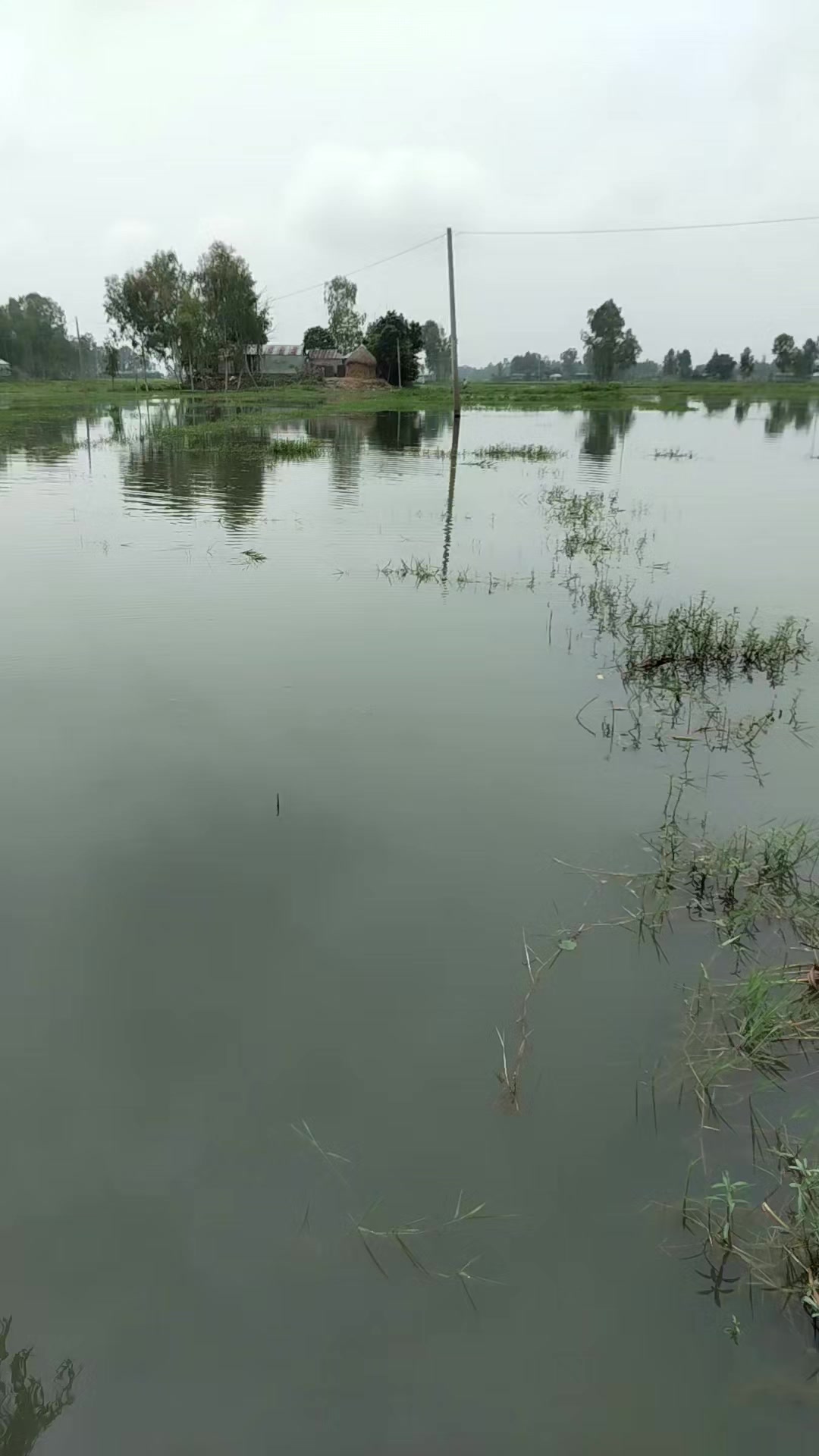 @শুধু তোমার জন্য পাগল