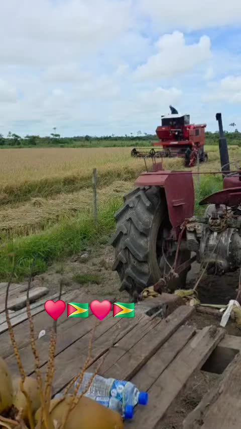@Indian.girl893🇬🇾🪬♥️🦂🌻💋