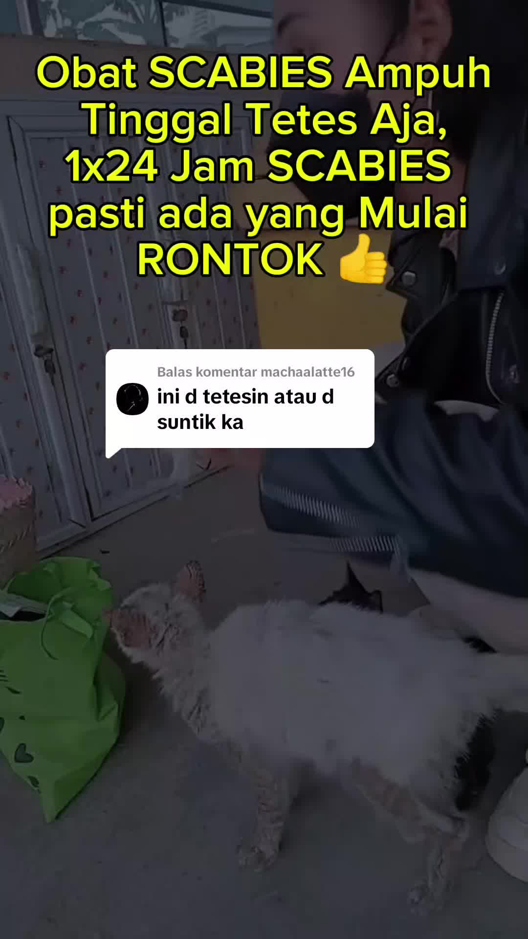 @🇮🇩Adek Gely😽❤️