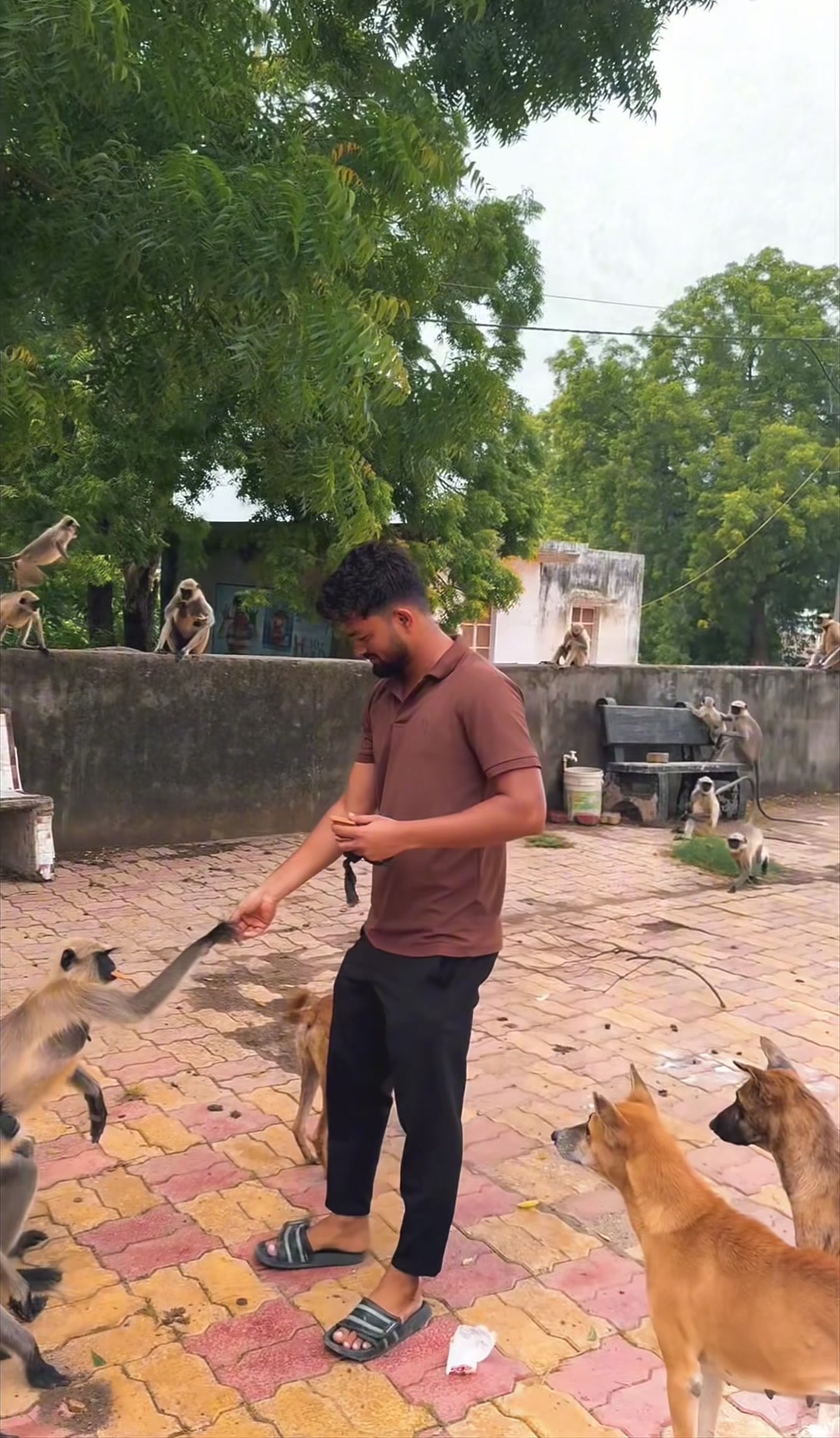 @vidhur_ machhi143