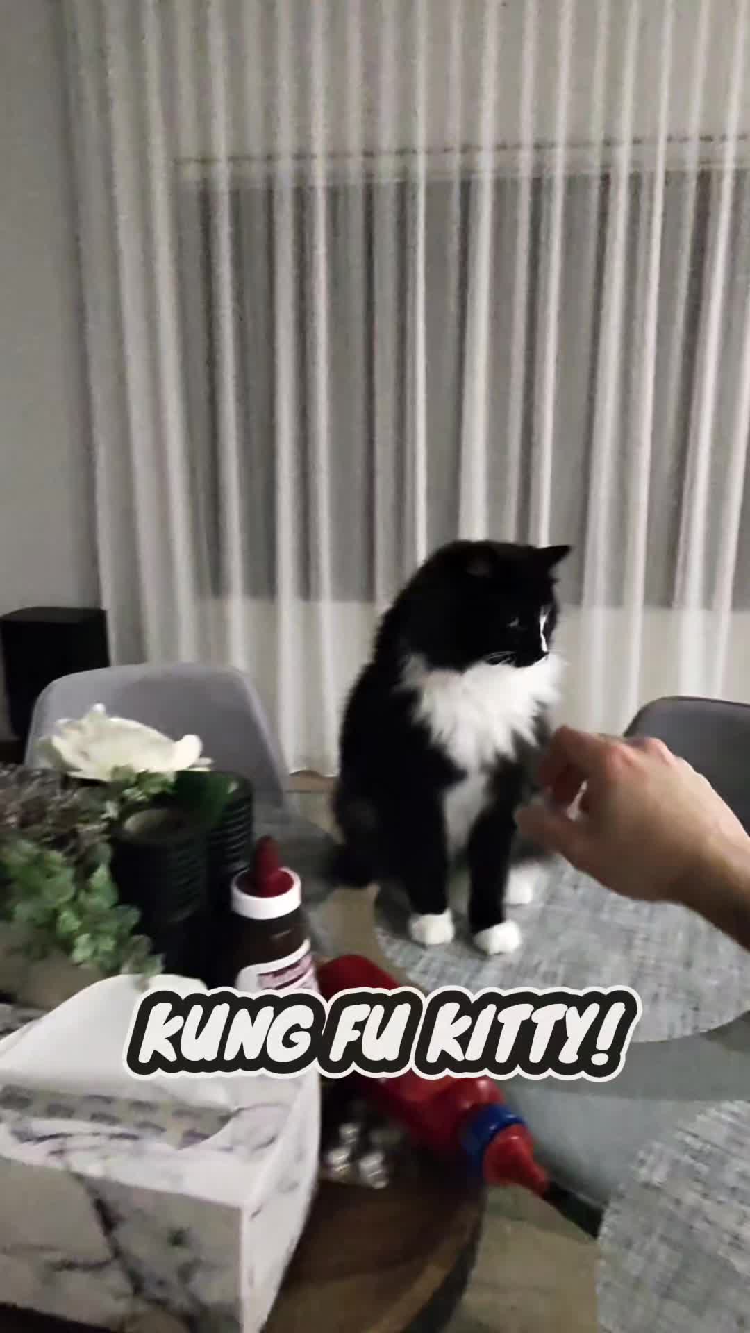 @juzzywuzzy