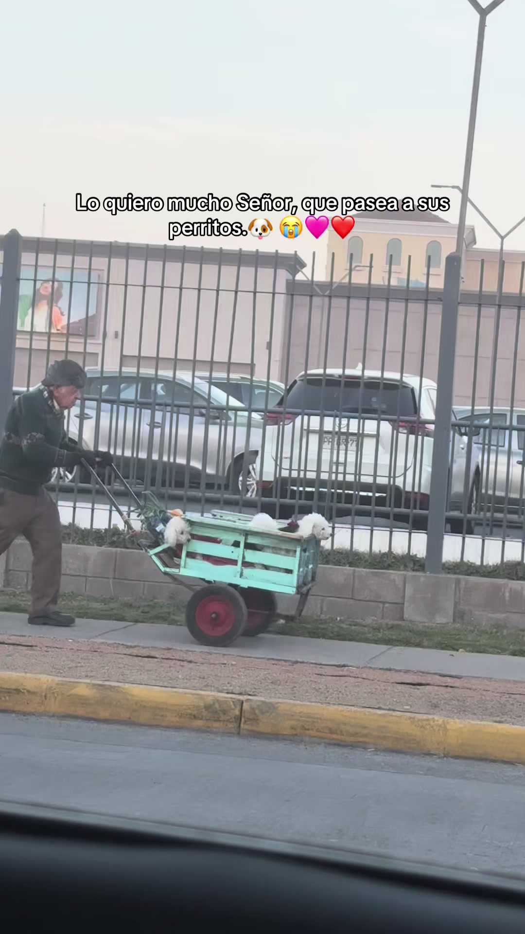 @C4mypink