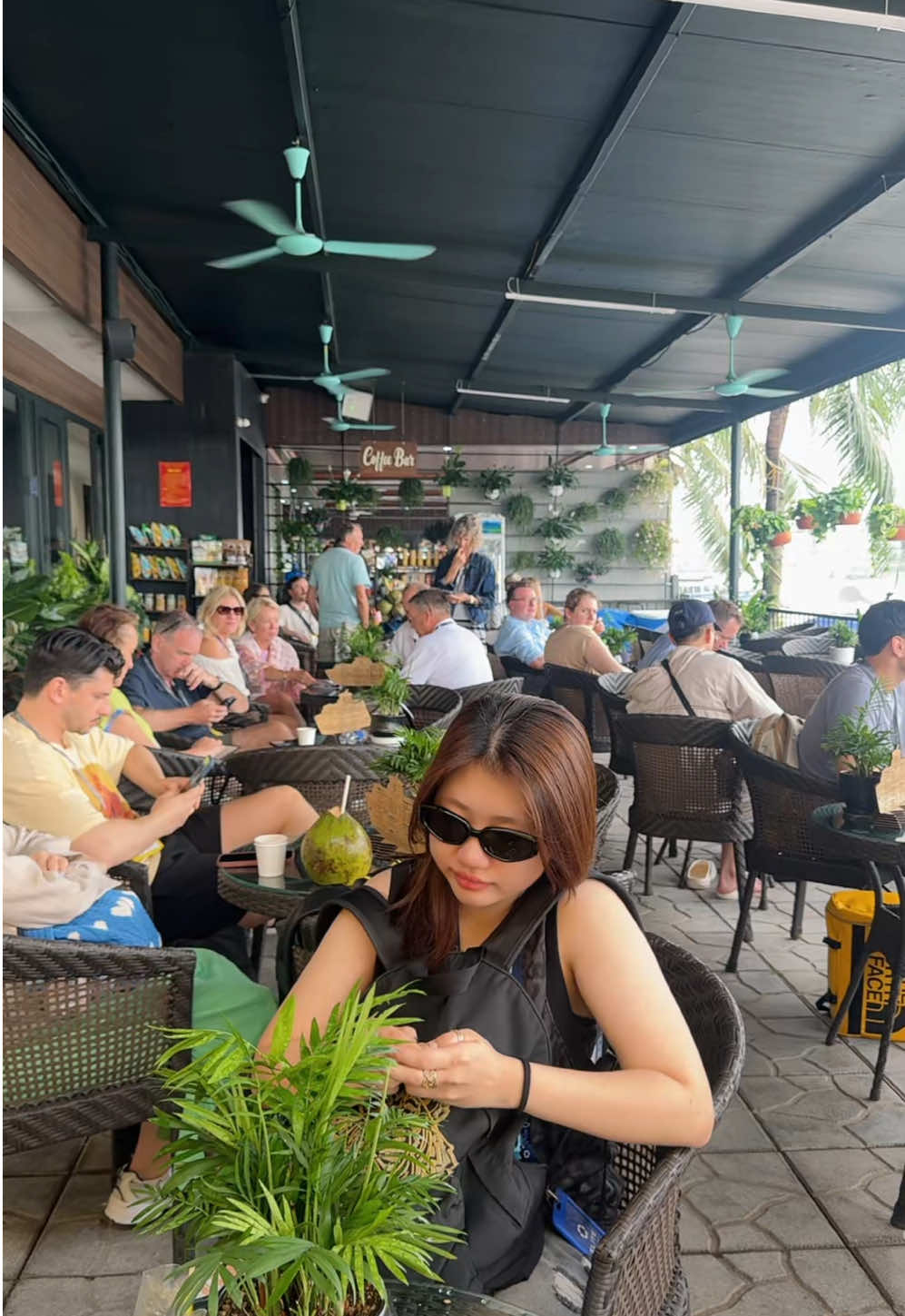 @Hoa Nắng