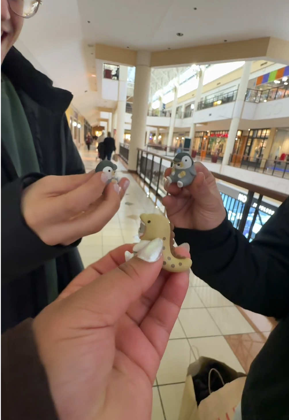 @sierra🪸