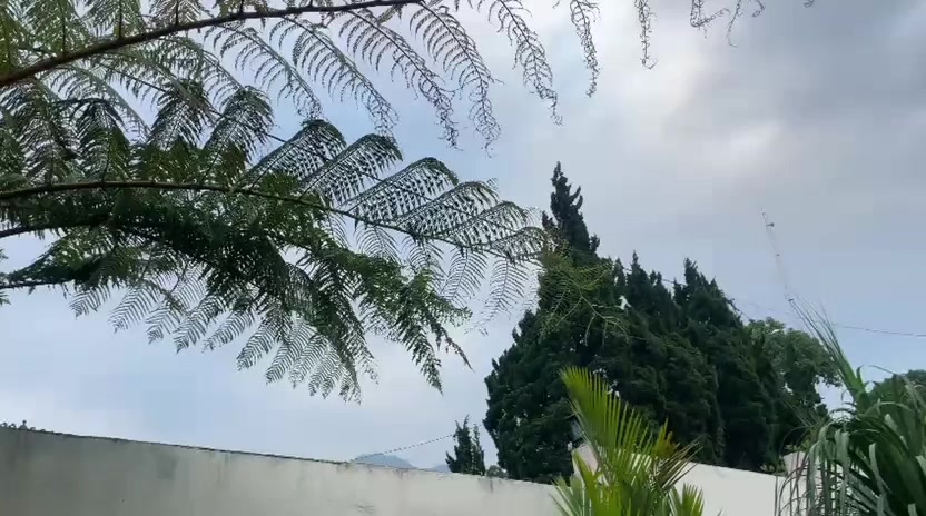 @v12a🦋