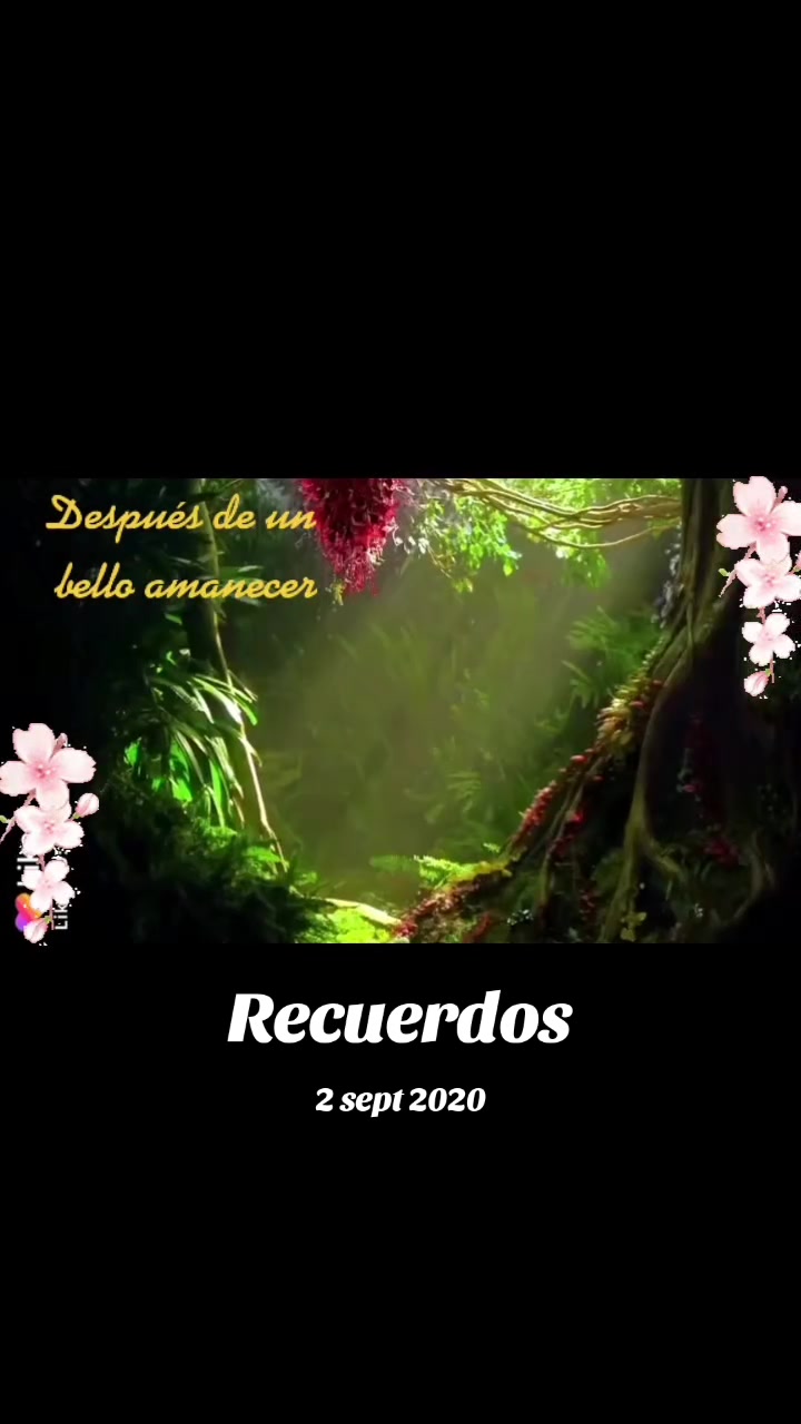 @Marlen Trigueros Ch