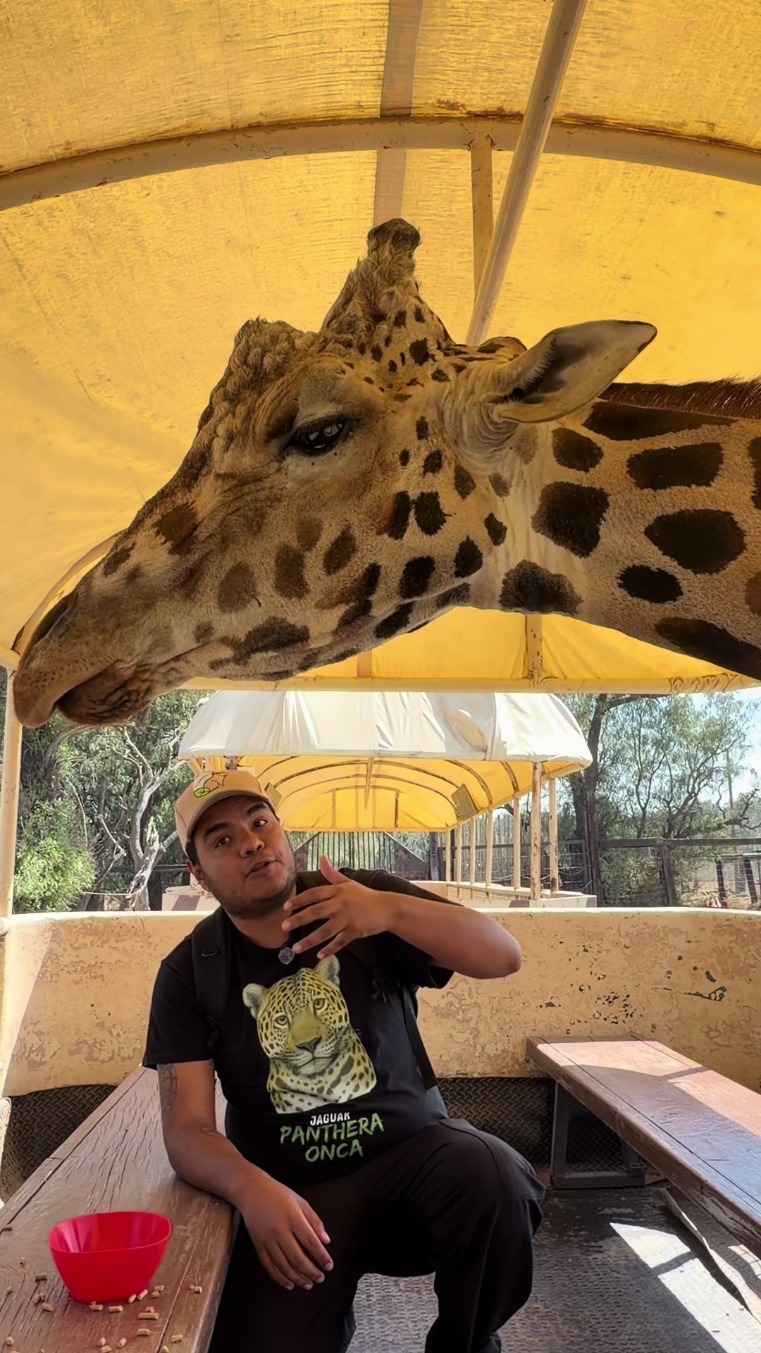 @Jair Herrera 🐆