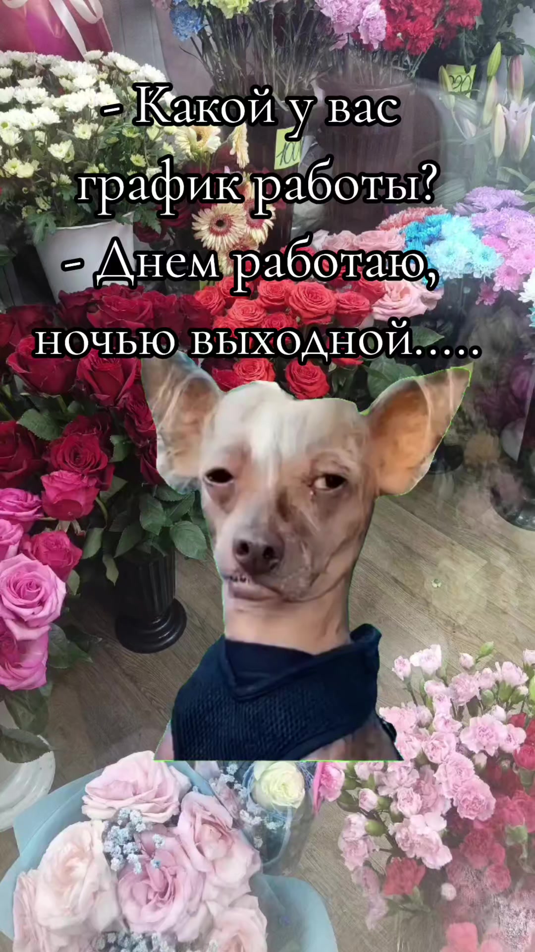 @olgayakovleva90