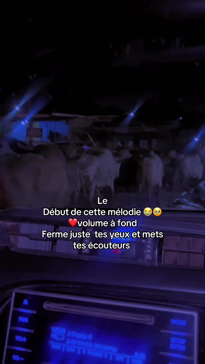 @lacamercongolaise🇨🇲🇨🇩