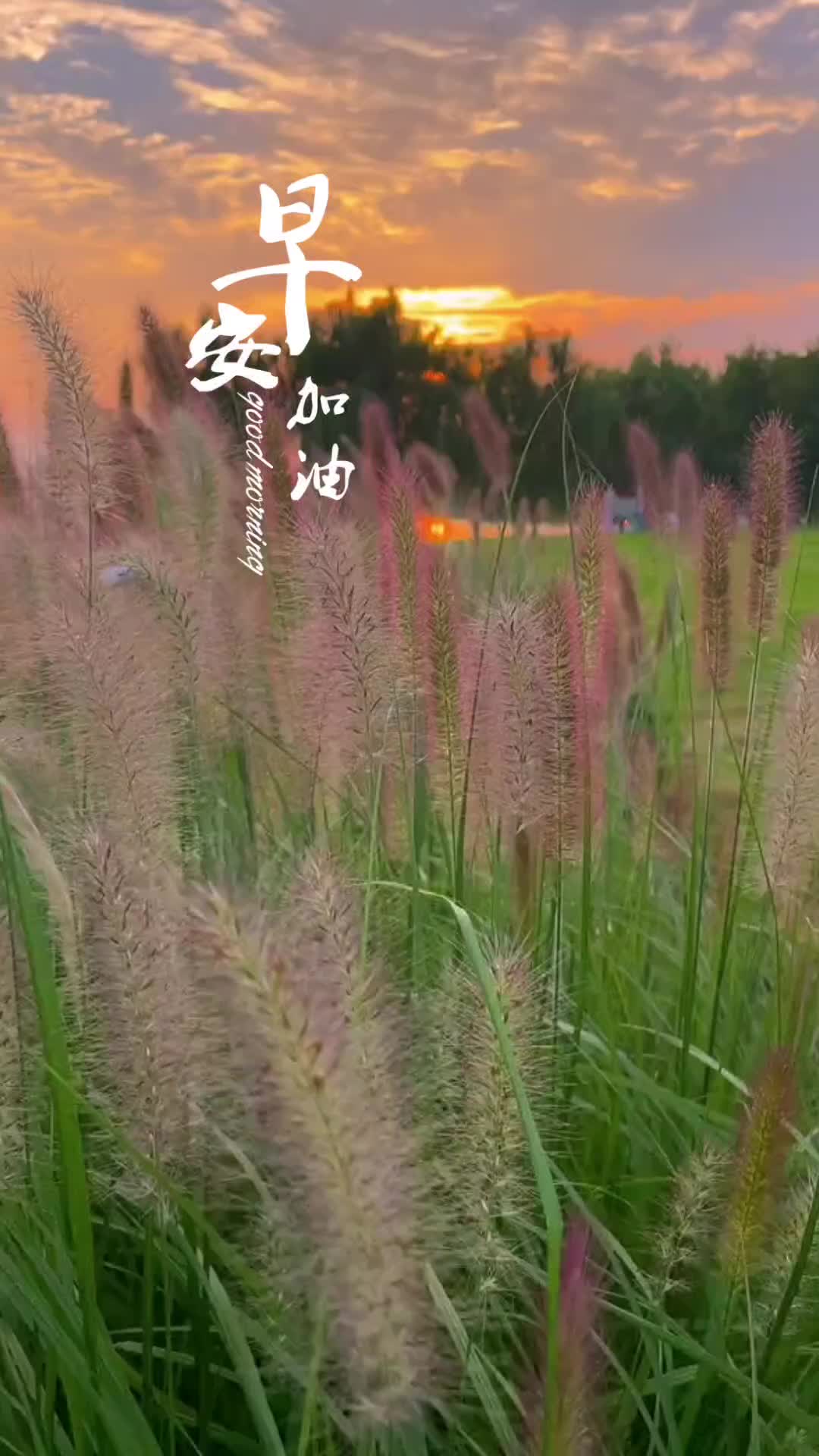 @Chin Fong