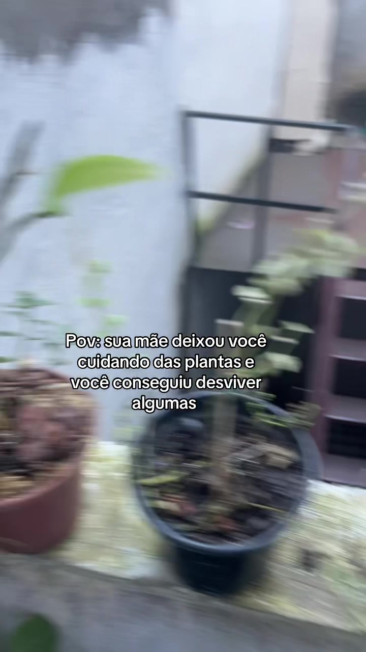 @Leticia