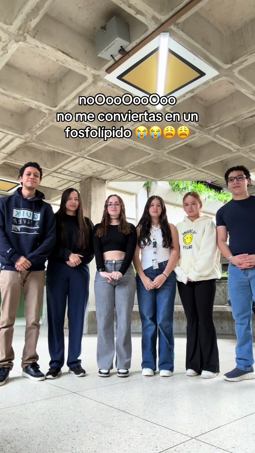 @Alexandra Stehlik