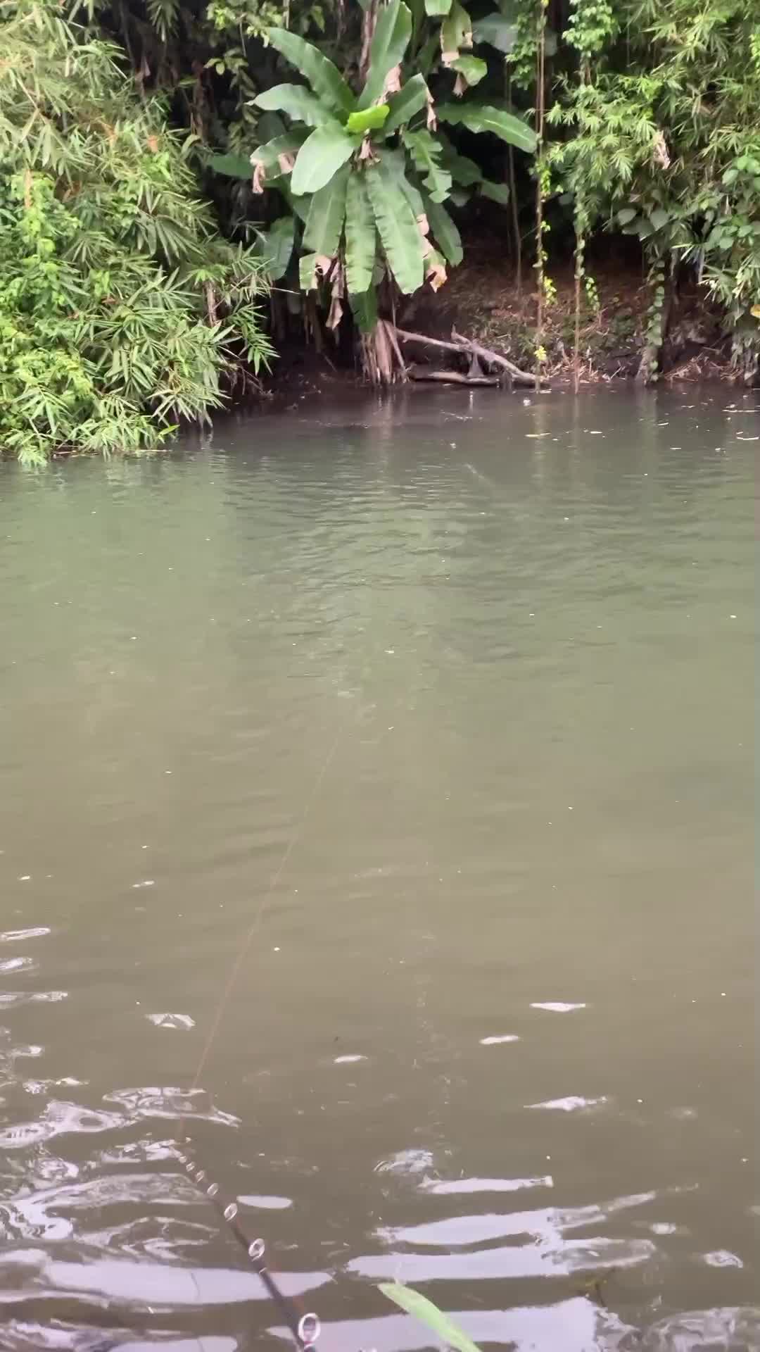 @Mancing selalu