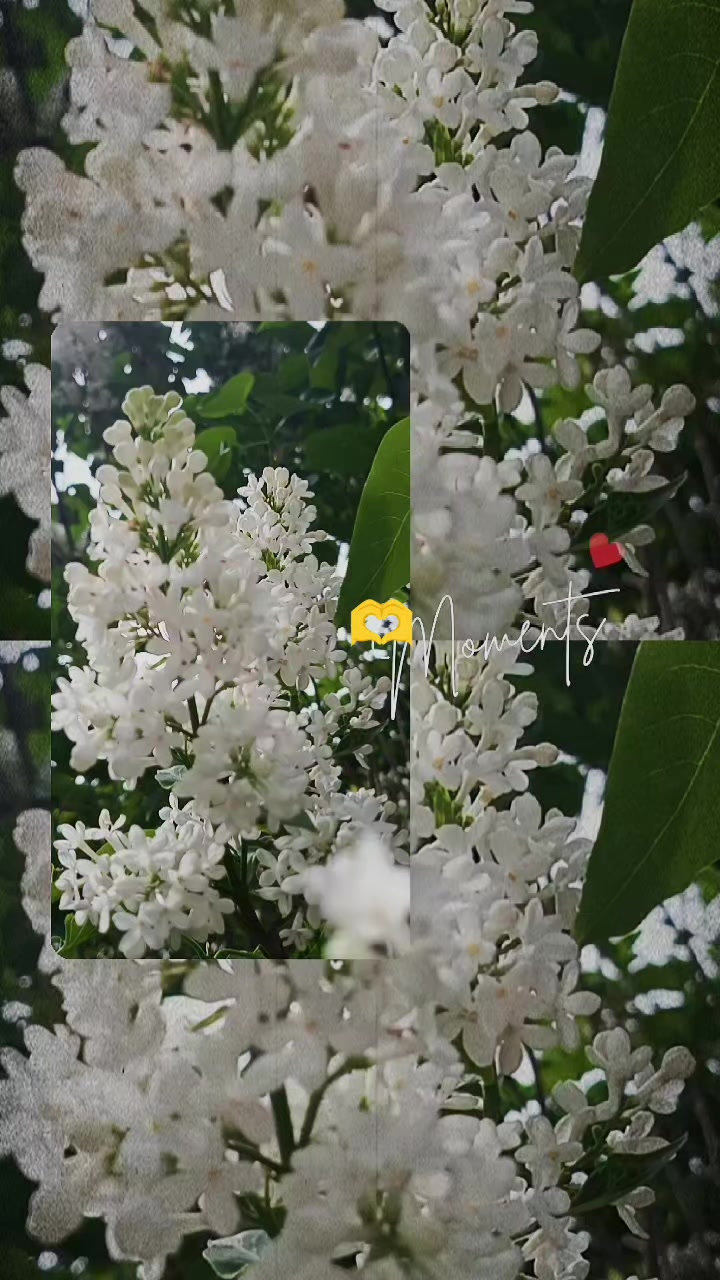 @Ludmila🤍