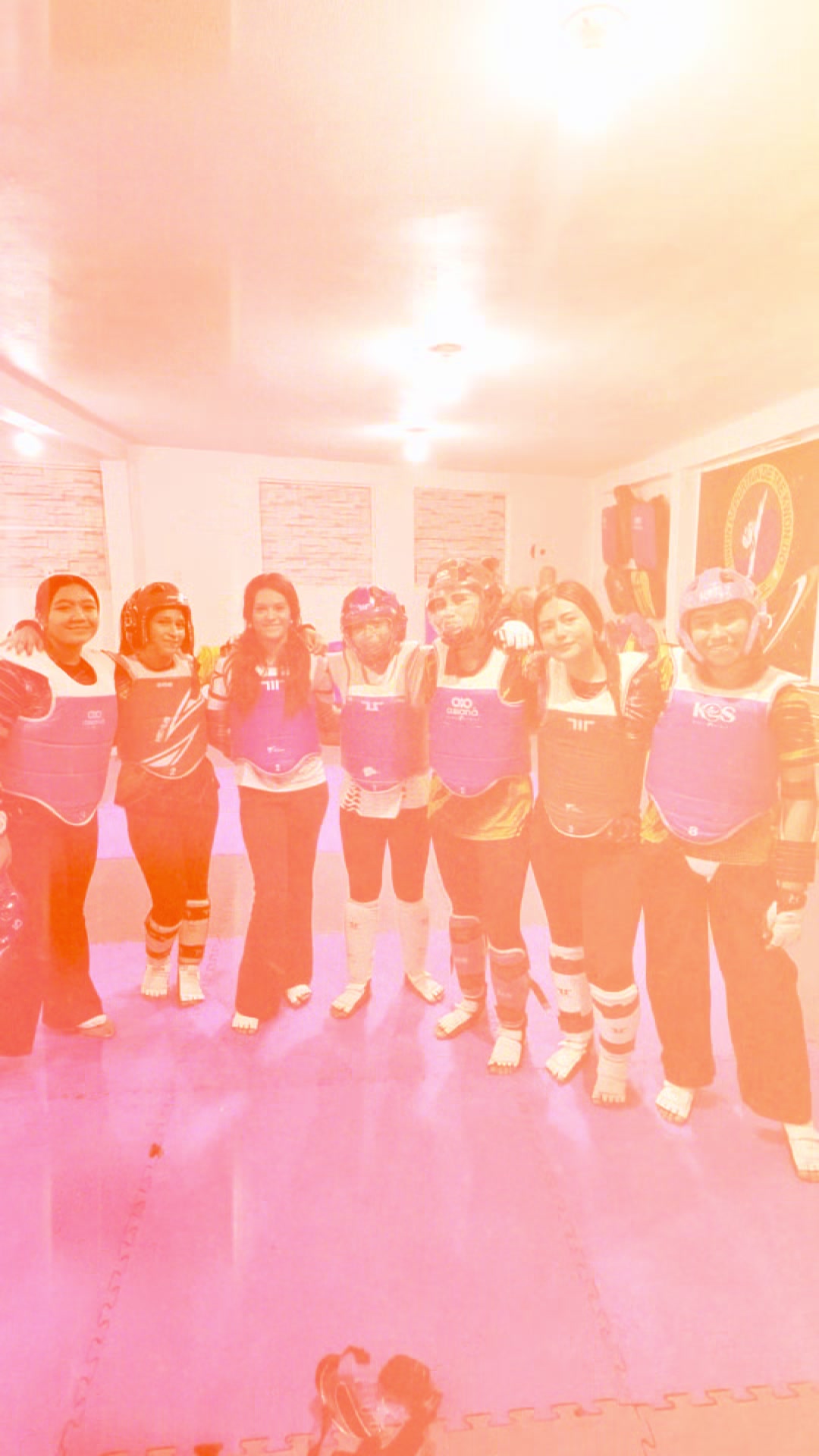 @taekwondolionsteam