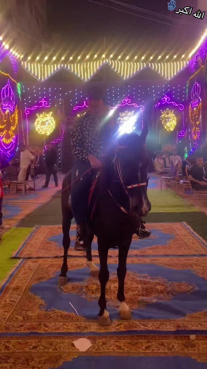 @الكابتن عبير🐎🥇🏆