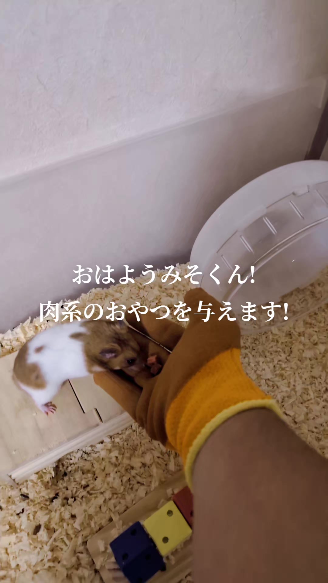 @K・B・M